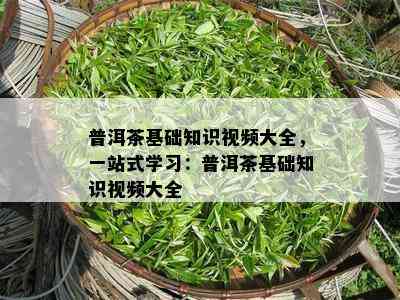 普洱茶基础知识视频大全，一站式学习：普洱茶基础知识视频大全