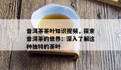 普洱茶茶叶知识视频，探索普洱茶的世界：深入了解这种独特的茶叶