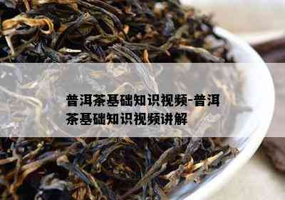 普洱茶基础知识视频-普洱茶基础知识视频讲解