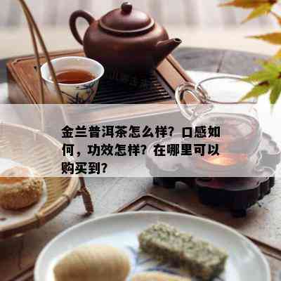 金兰普洱茶怎么样？口感如何，功效怎样？在哪里可以购买到？