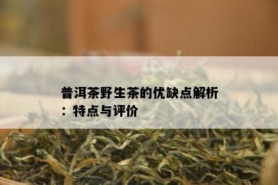 普洱茶野生茶的优缺点解析：特点与评价