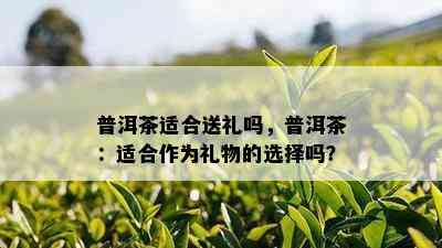 普洱茶适合送礼吗，普洱茶：适合作为礼物的选择吗？