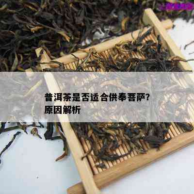 普洱茶是否适合供奉菩萨？原因解析