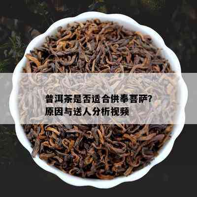 普洱茶是否适合供奉菩萨？原因与送人分析视频