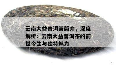 云南大益普洱茶简介，深度解析：云南大益普洱茶的前世今生与独特魅力