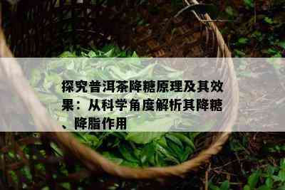 探究普洱茶降糖原理及其效果：从科学角度解析其降糖、降脂作用