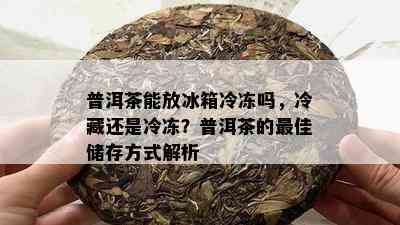 普洱茶能放冰箱冷冻吗，冷藏还是冷冻？普洱茶的更佳储存方式解析