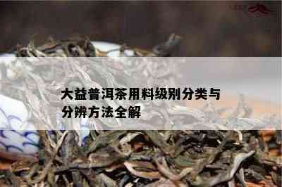 大益普洱茶用料级别分类与分辨方法全解