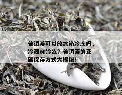 普洱茶可以放冰箱冷冻吗，冷藏or冷冻？普洱茶的正确保存方式大揭秘！