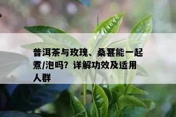 普洱茶与玫瑰、桑葚能一起煮/泡吗？详解功效及适用人群