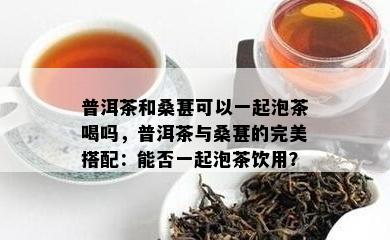 普洱茶和桑葚可以一起泡茶喝吗，普洱茶与桑葚的完美搭配：能否一起泡茶饮用？