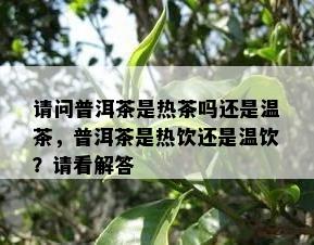 请问普洱茶是热茶吗还是温茶，普洱茶是热饮还是温饮？请看解答