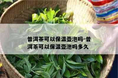 普洱茶可以保温壶泡吗-普洱茶可以保温壶泡吗多久