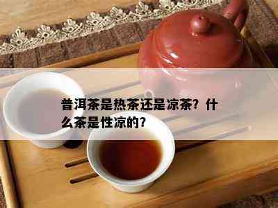 普洱茶是热茶还是凉茶？什么茶是性凉的？