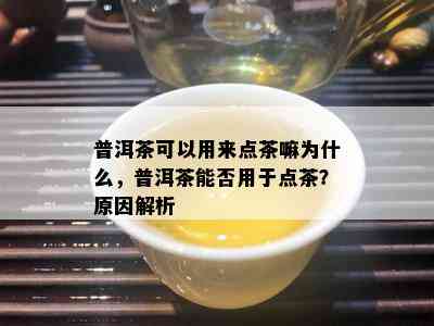 普洱茶可以用来点茶嘛为什么，普洱茶能否用于点茶？原因解析