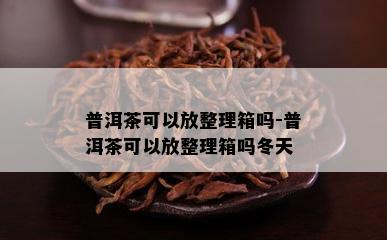 普洱茶可以放整理箱吗-普洱茶可以放整理箱吗冬天