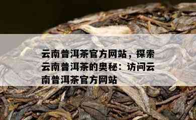 云南普洱茶官方网站，探索云南普洱茶的奥秘：访问云南普洱茶官方网站