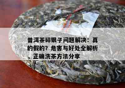 普洱茶碎银子问题解决：真的假的？危害与好处全解析，正确洗茶方法分享