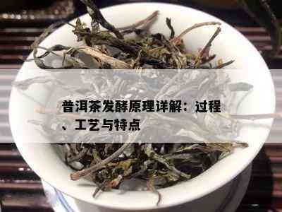 普洱茶发酵原理详解：过程、工艺与特点