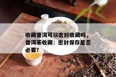 收藏普洱可以密封收藏吗，普洱茶收藏：密封保存是否必要？