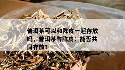 普洱茶可以和陈皮一起存放吗，普洱茶与陈皮：能否共同存放？