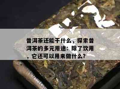 普洱茶还能干什么，探索普洱茶的多元用途：除了饮用，它还可以用来做什么？