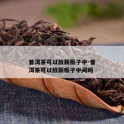 普洱茶可以放新柜子中-普洱茶可以放新柜子中间吗