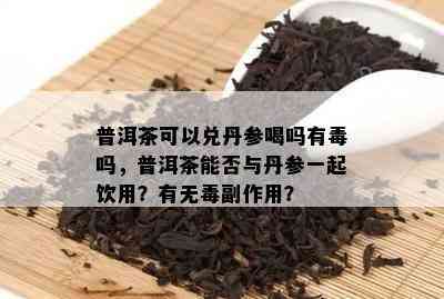 普洱茶可以兑丹参喝吗有吗，普洱茶能否与丹参一起饮用？有无副作用？