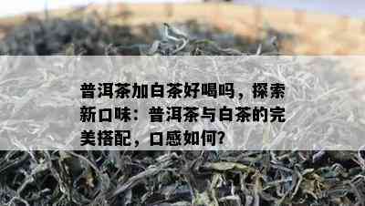 普洱茶加白茶好喝吗，探索新口味：普洱茶与白茶的完美搭配，口感如何？