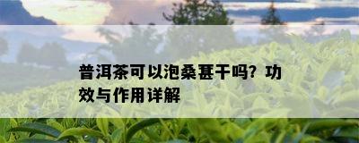 普洱茶可以泡桑葚干吗？功效与作用详解