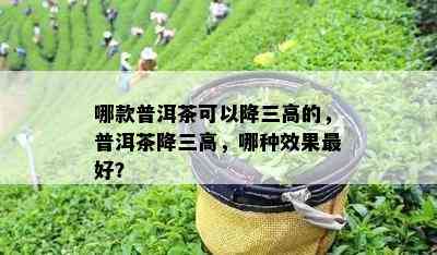 哪款普洱茶可以降三高的，普洱茶降三高，哪种效果更好？