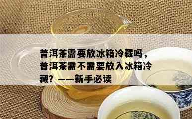 普洱茶需要放冰箱冷藏吗，普洱茶需不需要放入冰箱冷藏？——新手必读