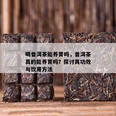 喝普洱茶能养胃吗，普洱茶真的能养胃吗？探讨其功效与饮用方法