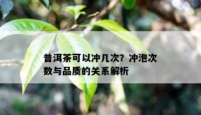 普洱茶可以冲几次？冲泡次数与品质的关系解析