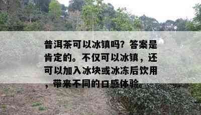 普洱茶可以冰镇吗？答案是肯定的。不仅可以冰镇，还可以加入冰块或冰冻后饮用，带来不同的口感体验。