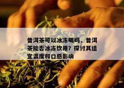 普洱茶可以冰冻喝吗，普洱茶能否冰冻饮用？探讨其适宜温度和口感影响