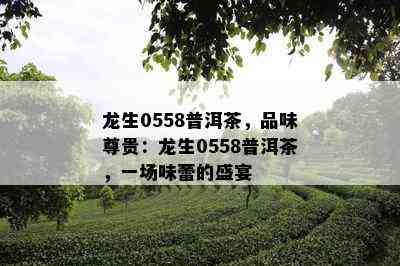 龙生0558普洱茶，品味尊贵：龙生0558普洱茶，一场味蕾的盛宴