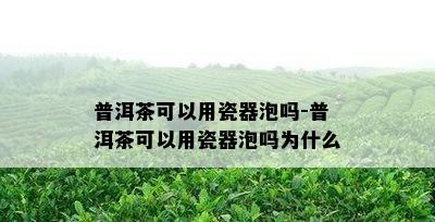 普洱茶可以用瓷器泡吗-普洱茶可以用瓷器泡吗为什么