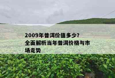 2009年普洱价值多少？全面解析当年普洱价格与市场走势