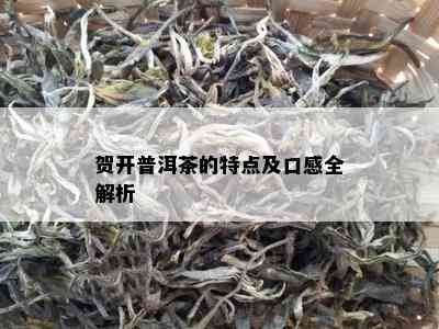 贺开普洱茶的特点及口感全解析