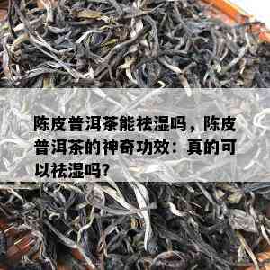 陈皮普洱茶能祛湿吗，陈皮普洱茶的神奇功效：真的可以祛湿吗？