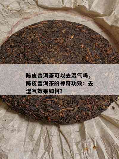 陈皮普洱茶可以去湿气吗，陈皮普洱茶的神奇功效：去湿气效果如何？