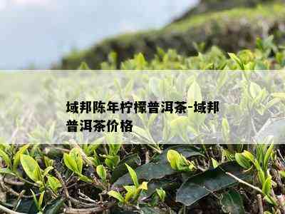 域邦陈年柠檬普洱茶-域邦普洱茶价格