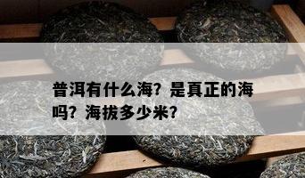 普洱有什么海？是真正的海吗？海拔多少米？