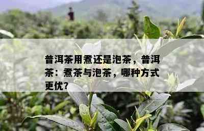 普洱茶用煮还是泡茶，普洱茶：煮茶与泡茶，哪种方式更优？