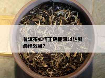 普洱茶如何正确储藏以达到更佳效果？