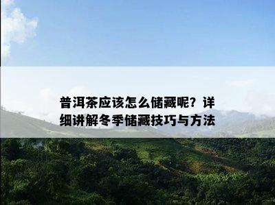 普洱茶应该怎么储藏呢？详细讲解冬季储藏技巧与方法