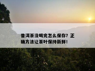 普洱茶没喝完怎么保存？正确方法让茶叶保持新鲜！