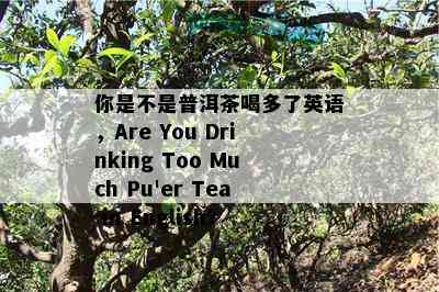 你是不是普洱茶喝多了英语，Are You Drinking Too Much Pu'er Tea in English?