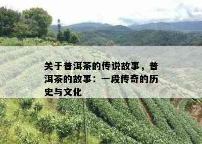 关于普洱茶的传说故事，普洱茶的故事：一段传奇的历史与文化